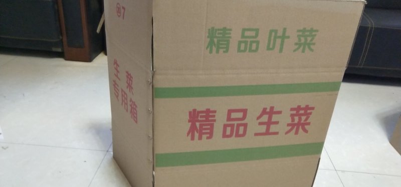 蔬菜纸箱包装