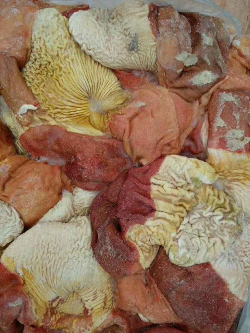 新疆驴肉