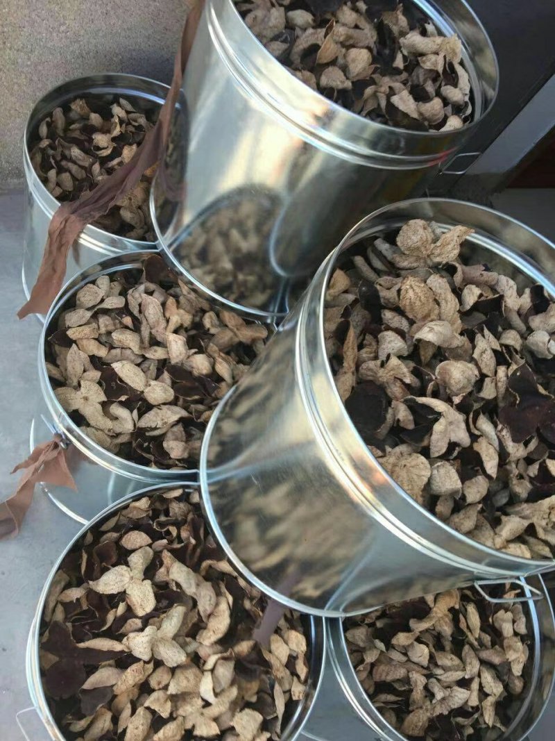 陈皮