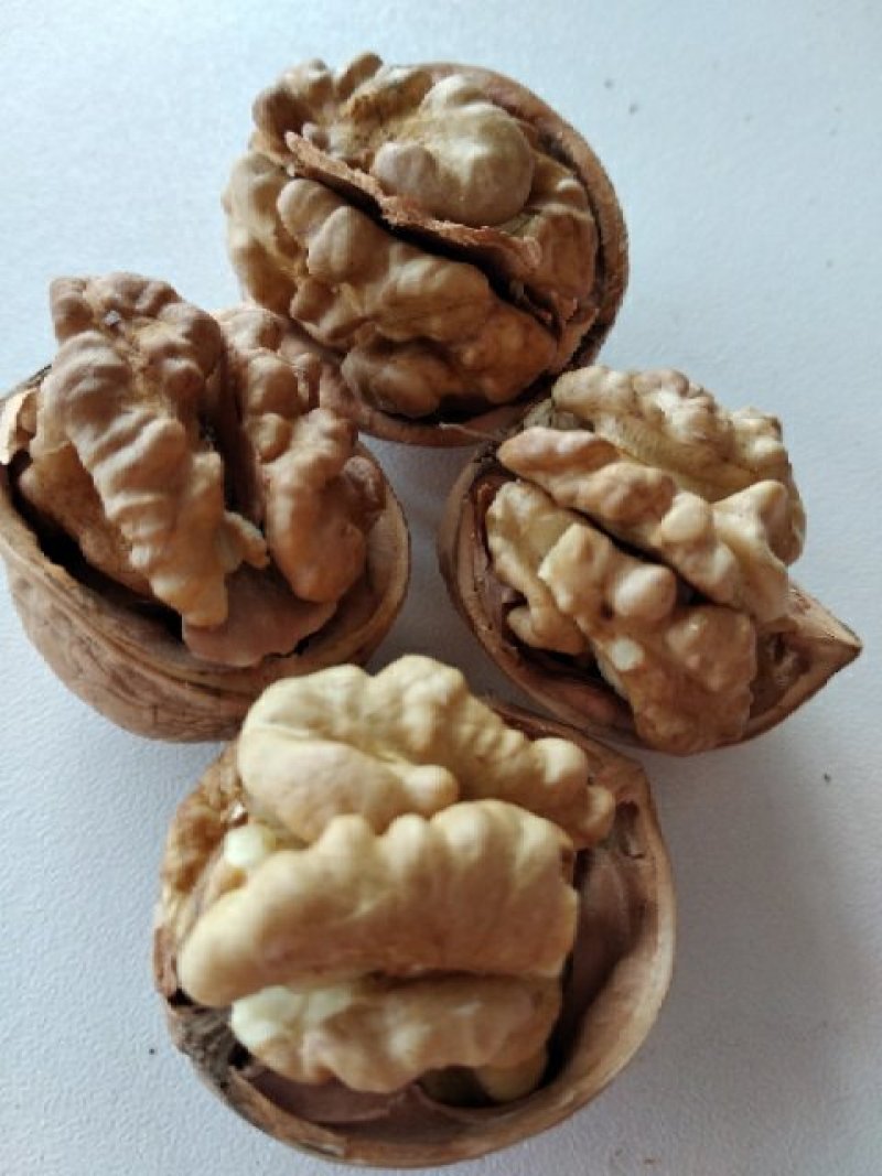 薄皮核桃