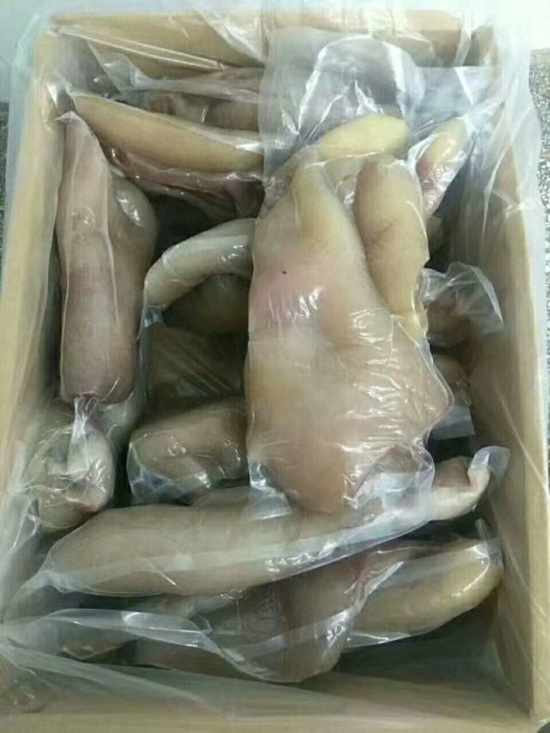 牛头皮筋，可以切丝，可整张卖凉拌非常好吃