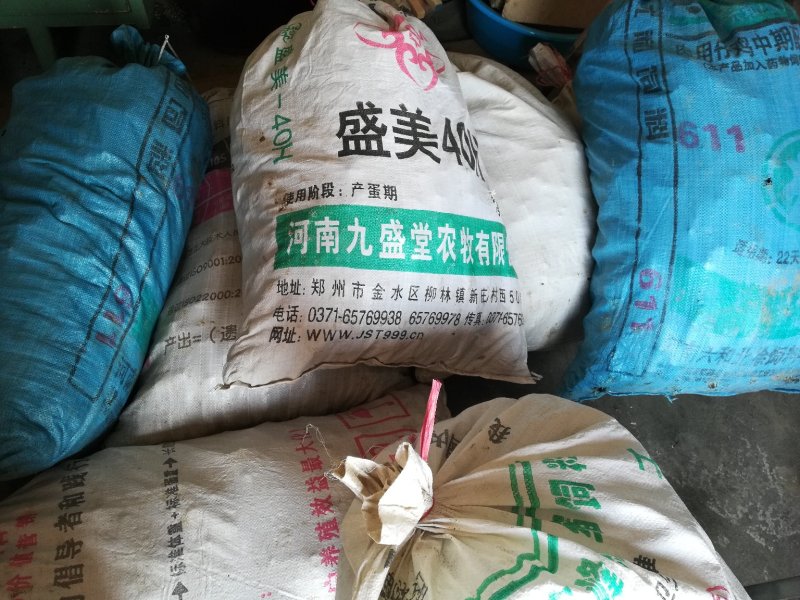 野生猪苓干货100斤起批无污染猪屎苓包邮