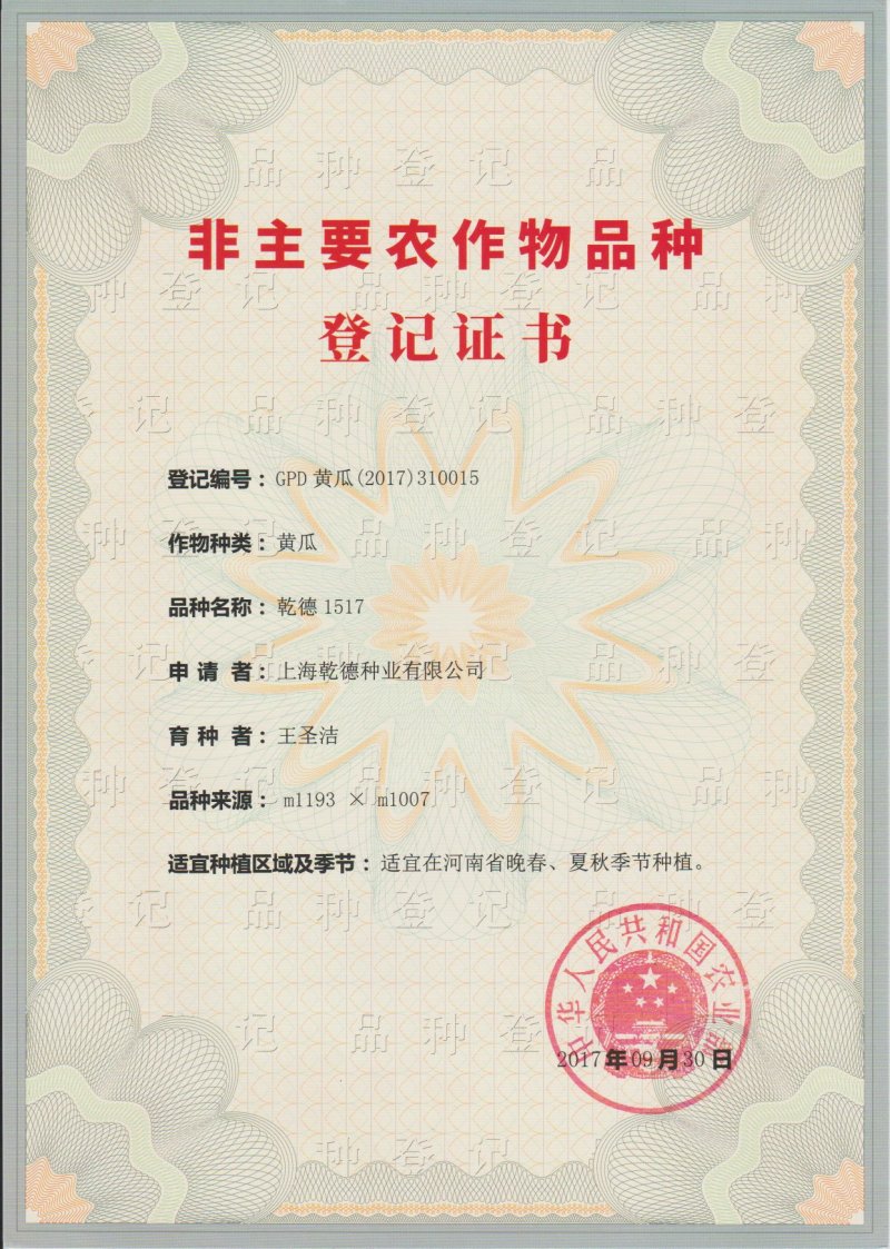 【包邮】乾德1517登记品种口感无刺水果黄瓜