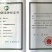 【包邮】乾德1217无刺水果黄瓜春秋越冬茬口栽培