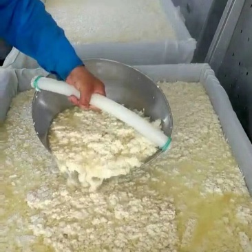 批发内蒙古大杨树镇天顺豆腐厂纯卤水手工冻豆腐干豆腐！