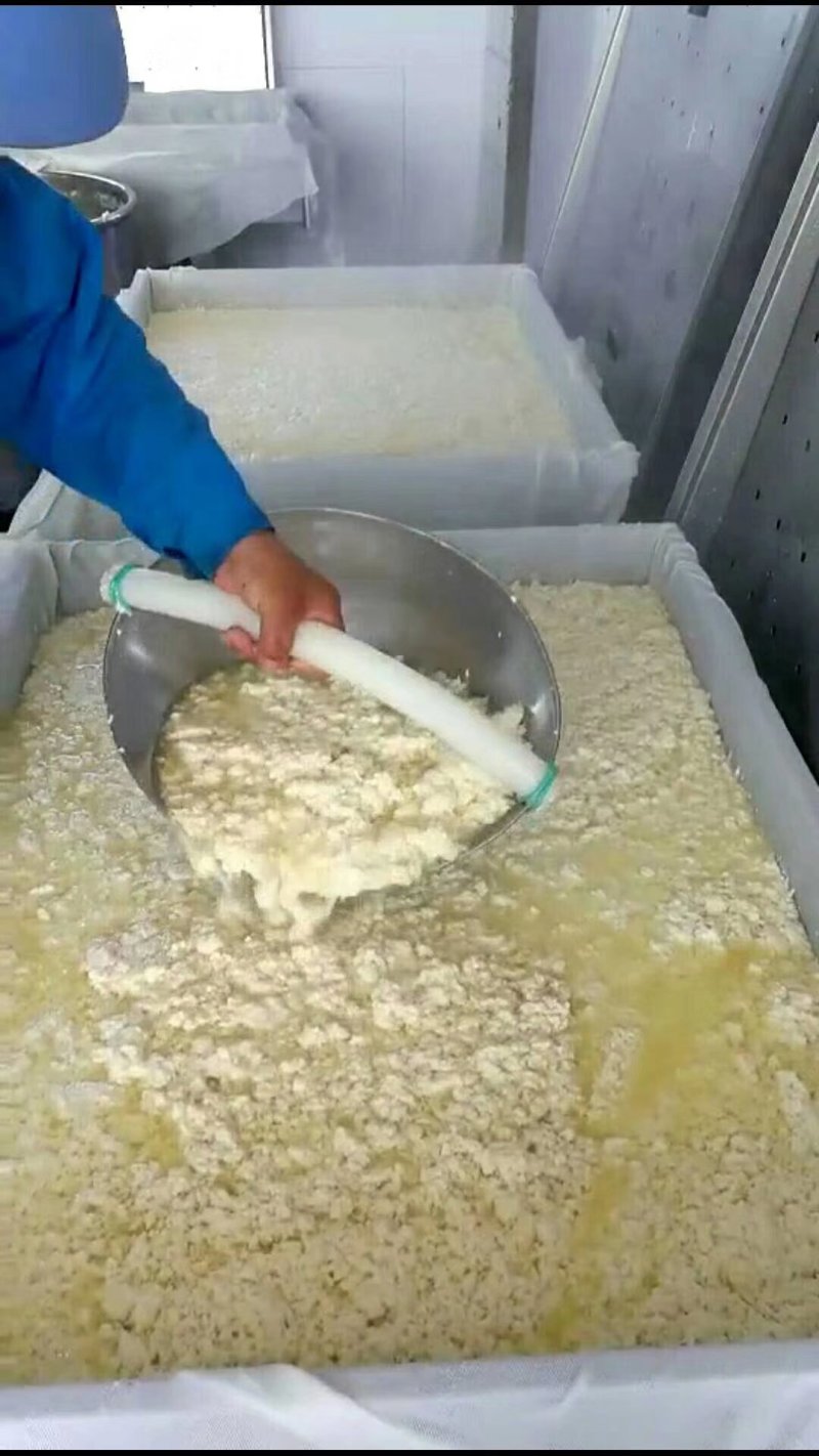 批发内蒙古大杨树镇天顺豆腐厂纯卤水手工冻豆腐干豆腐！