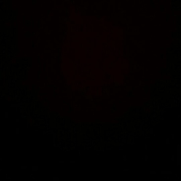 种香蕉地出租