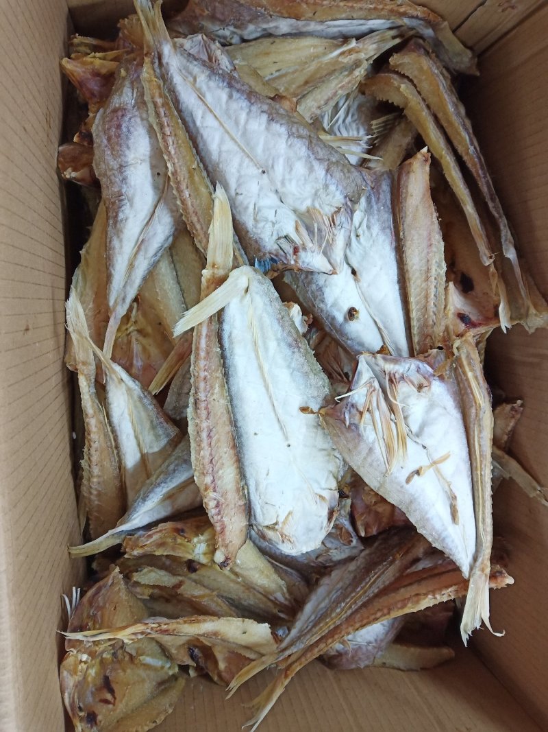 海洋鱼干供应！全国接单！