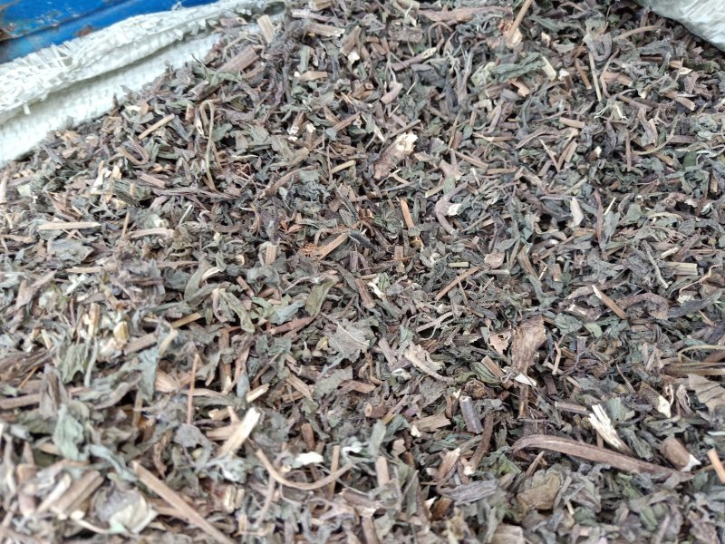 旱莲草，无草，无杂质，
