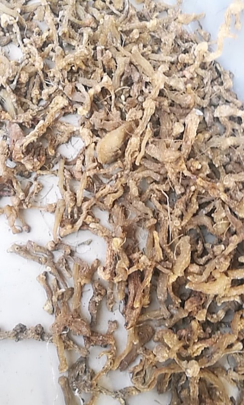 黄精干品