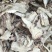 甘肃岷县当归全当归片无硫新货0.3筛产地直供量大从优