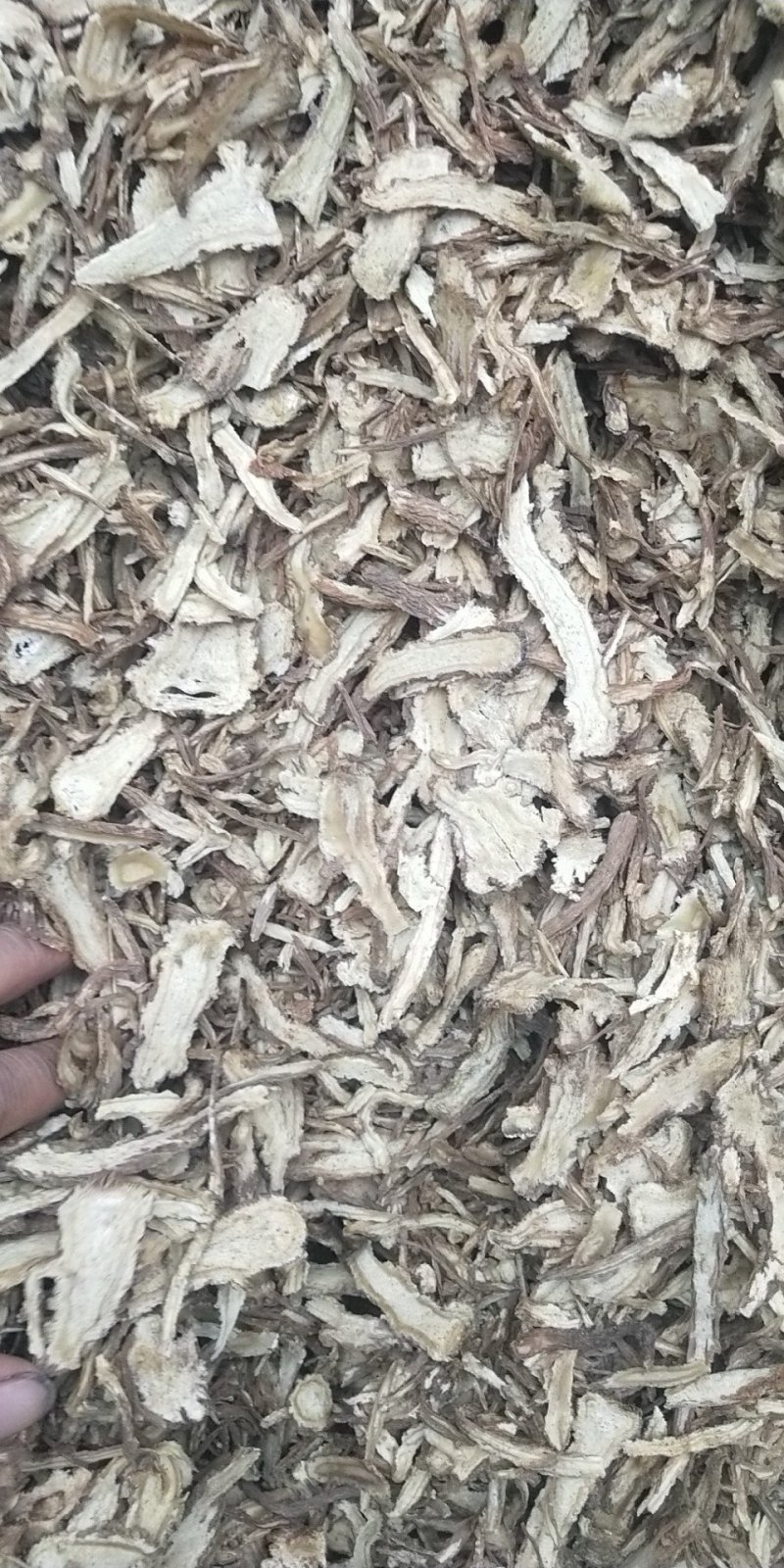 甘肃岷县当归全当归片无硫新货0.3筛产地直供量大从优