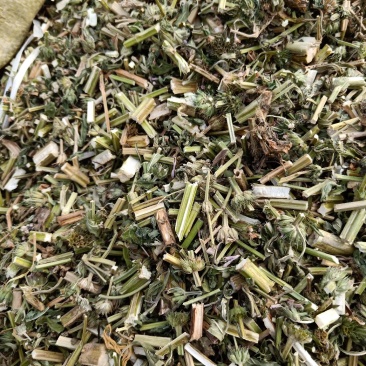 益母草