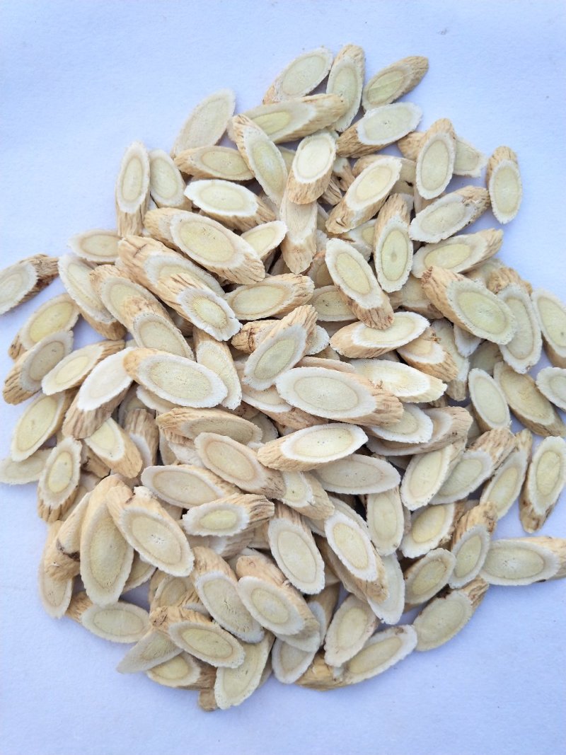 甘肃岷县黄芪指甲片08-1.0