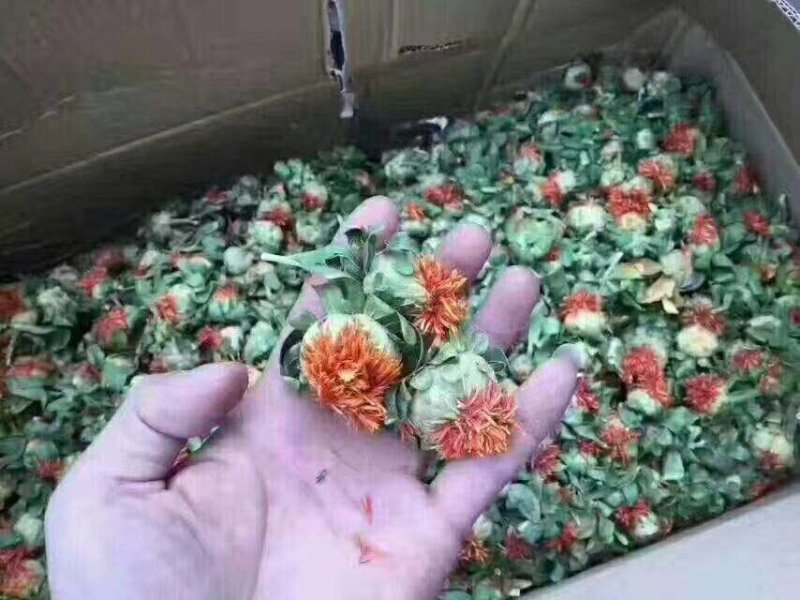 藏红花