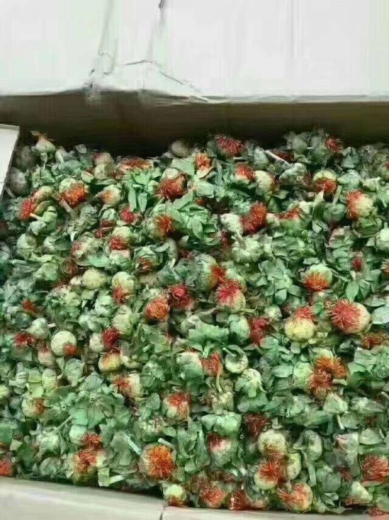 藏红花