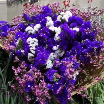 云南十八怪鲜花干花