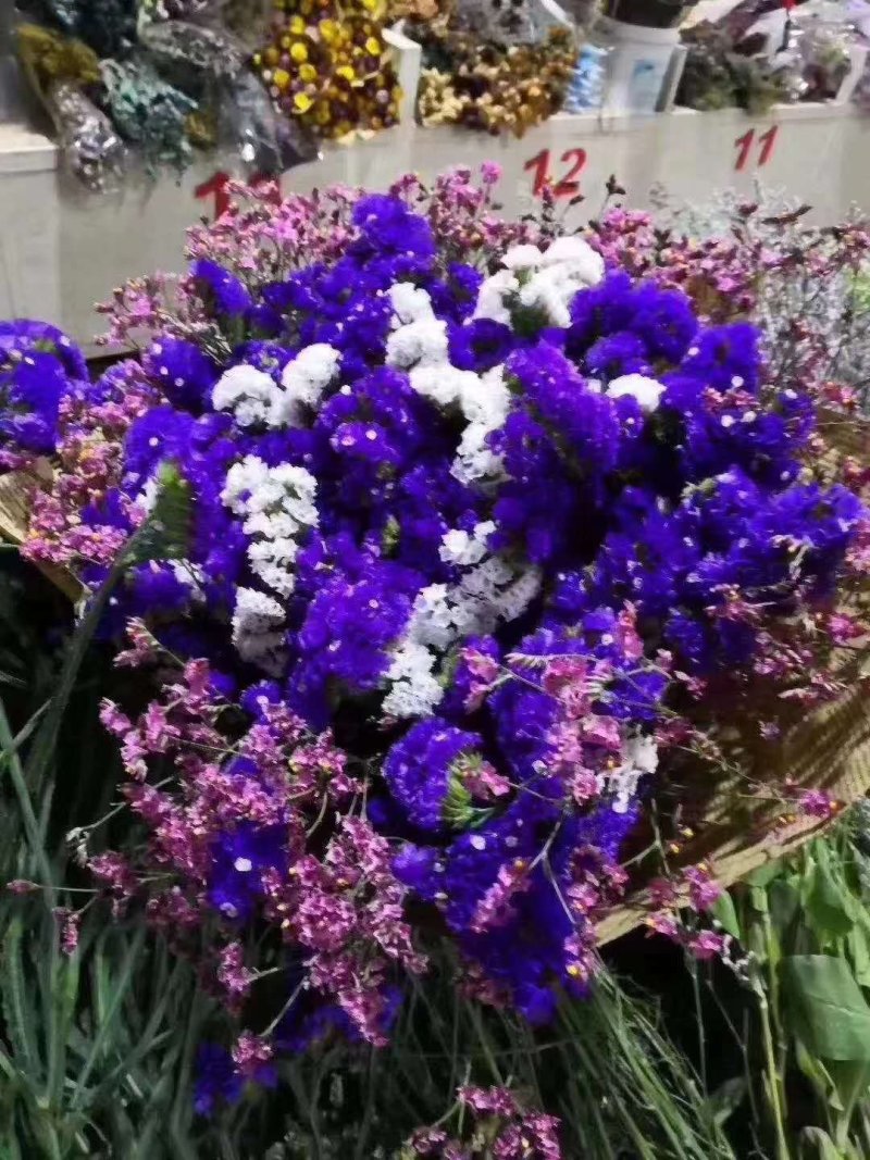 云南十八怪鲜花干花