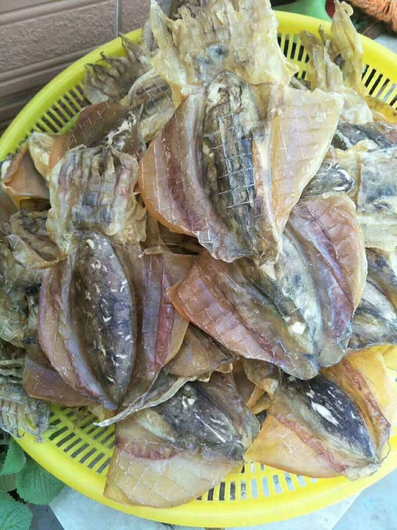 望港进出口海鲜干货有限公司