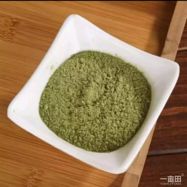 蒲公英粉