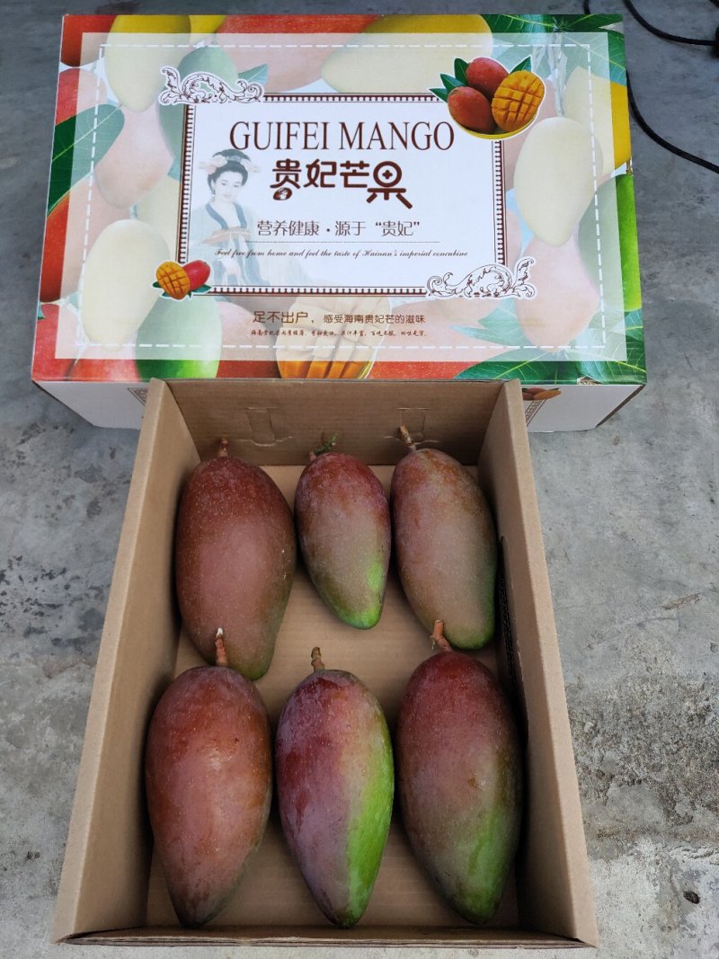 一级贵妃芒一件代发电商微商