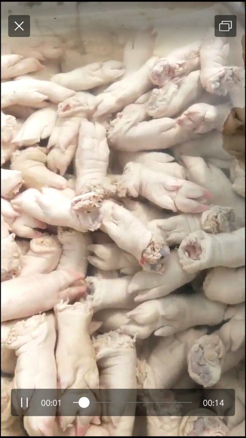 猪舌.小腰.大肚子...