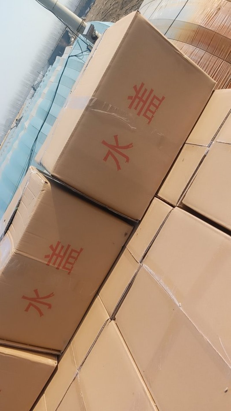 基地直销精品生菜需要的联系我