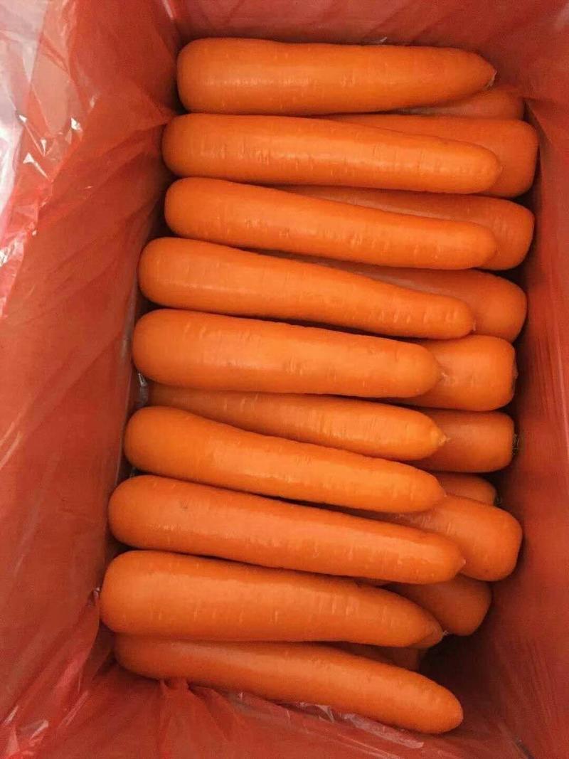 红萝卜，三红胡萝卜各种规格精品包装，直供电商