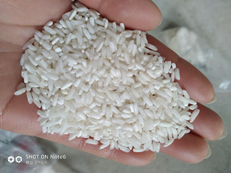 色选白米丰两优白米四选米可作米浆米糊饭堂
