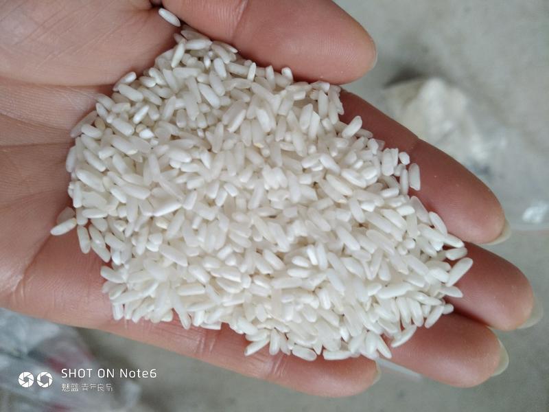 色选白米丰两优白米四选米可作米浆米糊饭堂