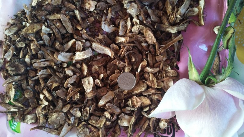 蒲公英切片保健茶去火保健预防感冒无熏蒸