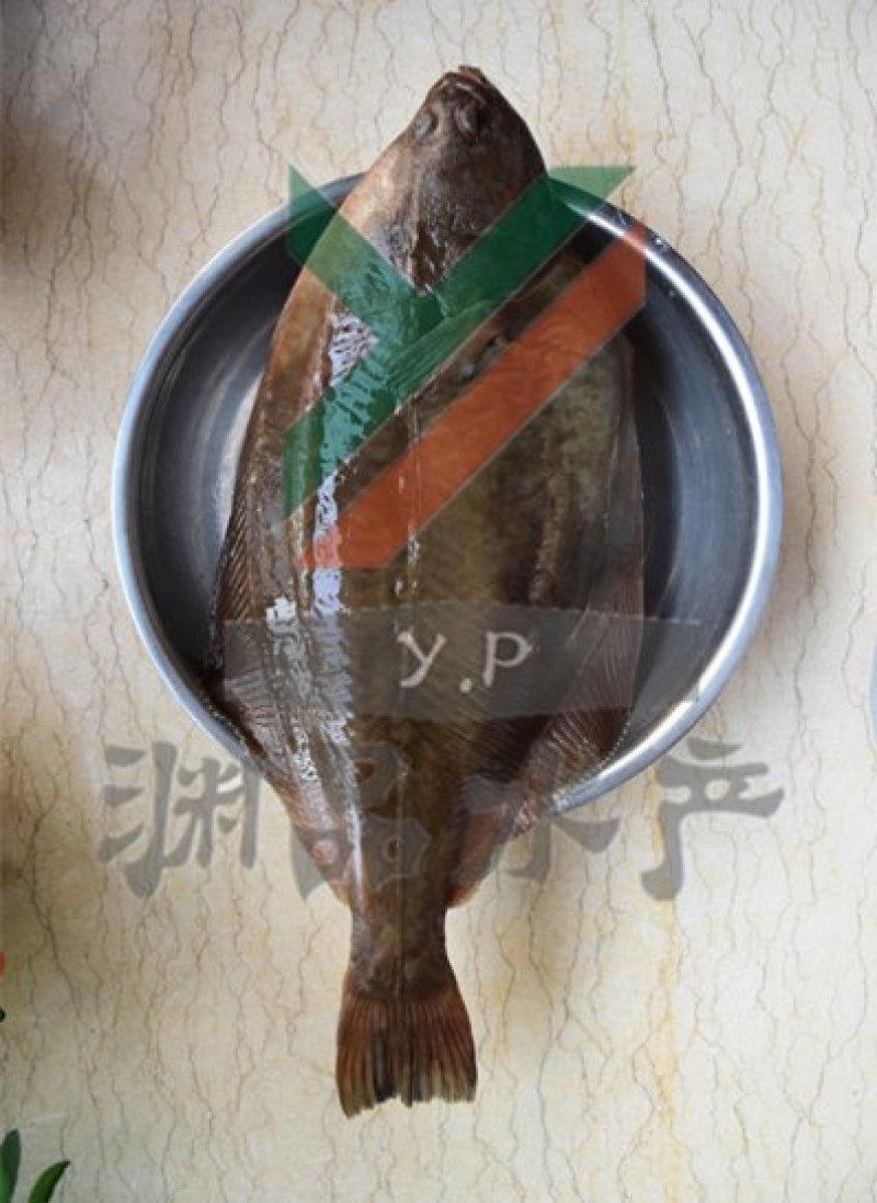 【渊品水产】养马岛海产品冰鲜牙片鱼偏口鱼