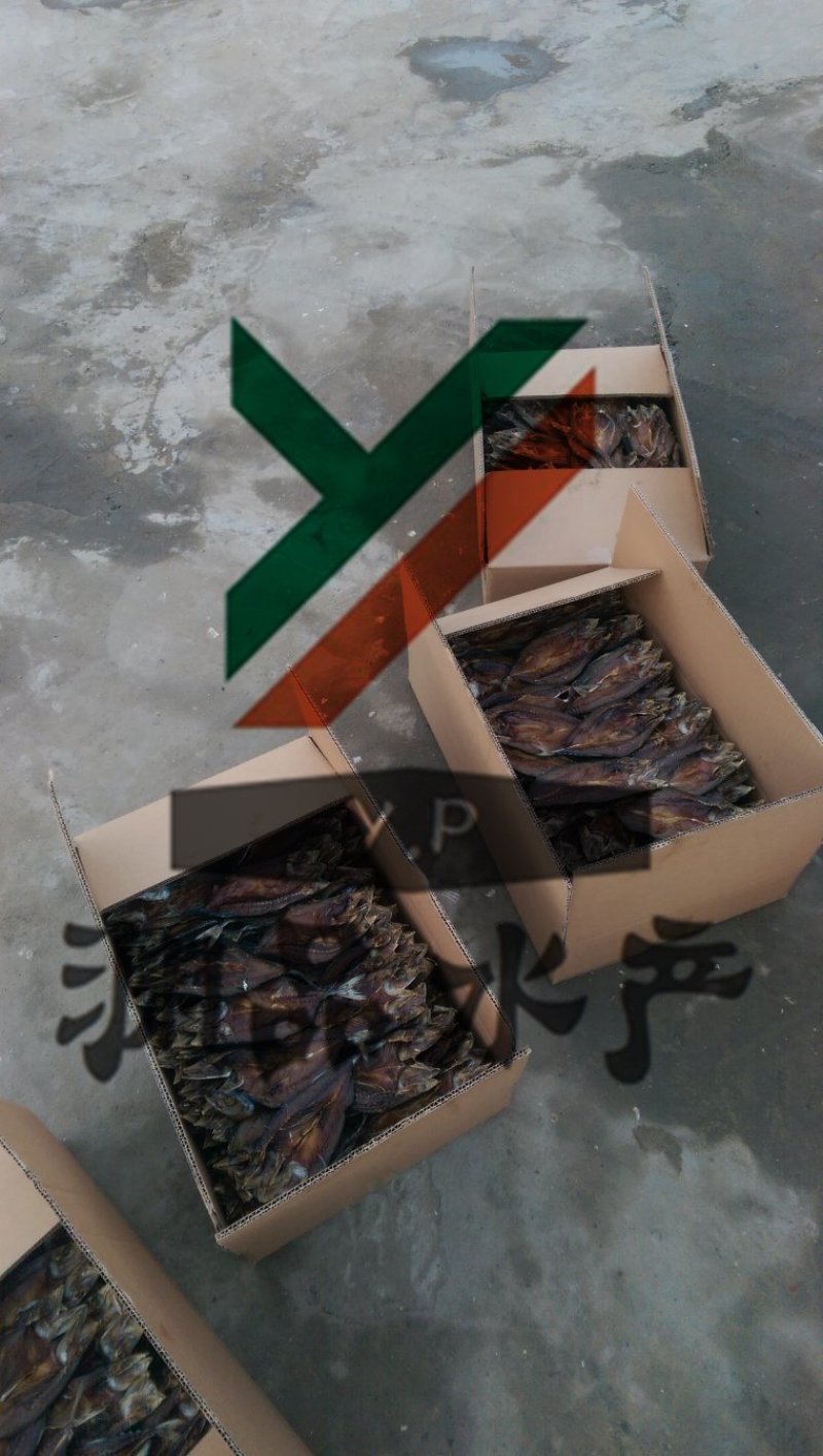 【渊品水产】养马岛特产海产品冰鲜鲅鱼干