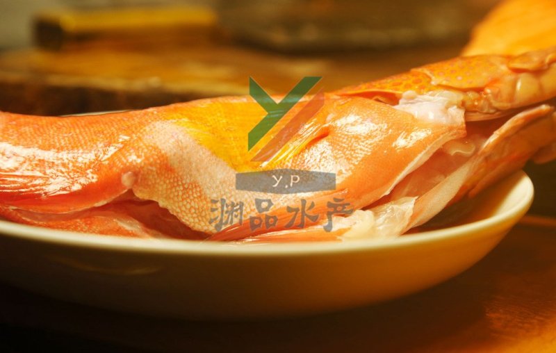 【渊品水产】养马岛海产品冰鲜红鱼