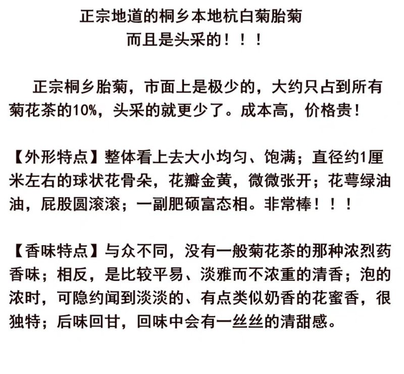 桐乡胎菊王