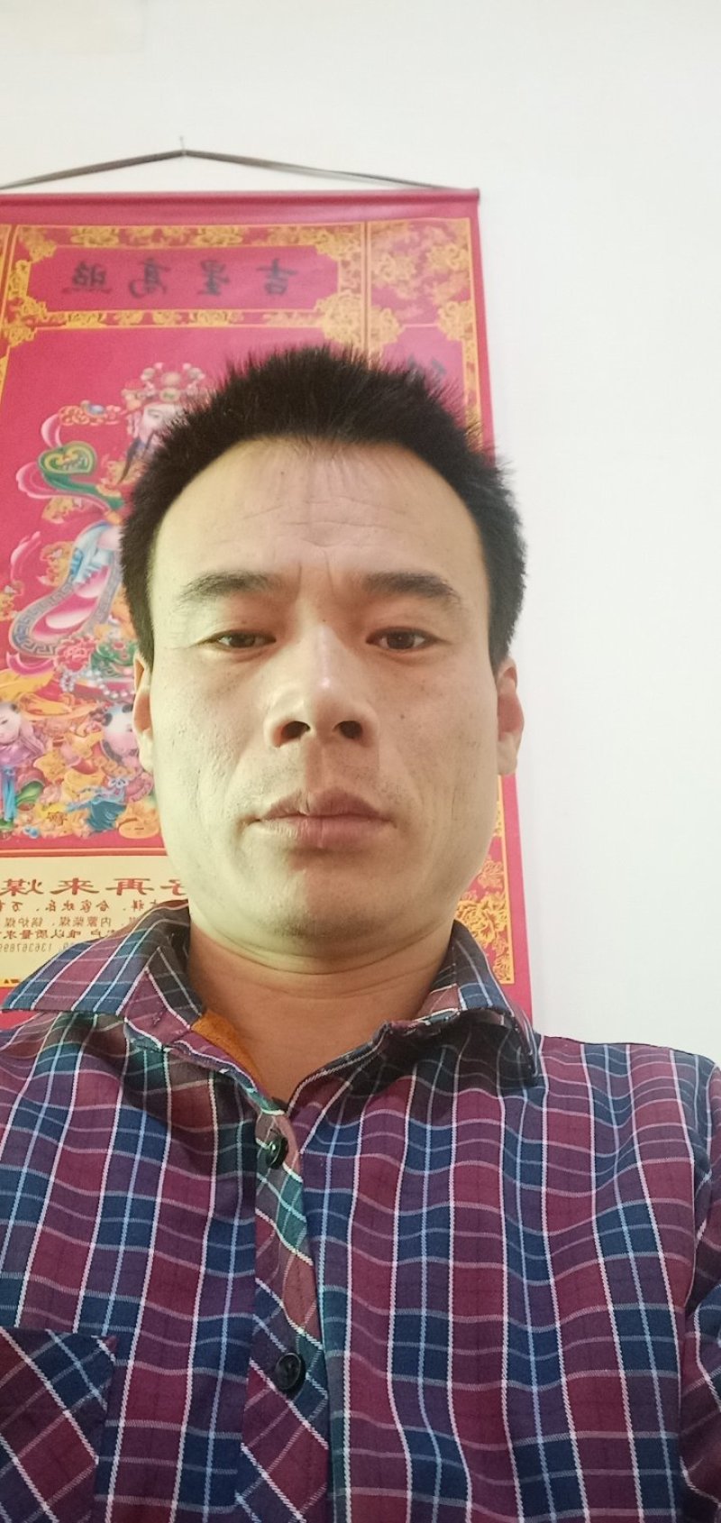 销售阳丰甜柿子苗！一年亩，两年苗！现挖苗！保质量保成活