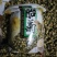 桐乡胎菊王