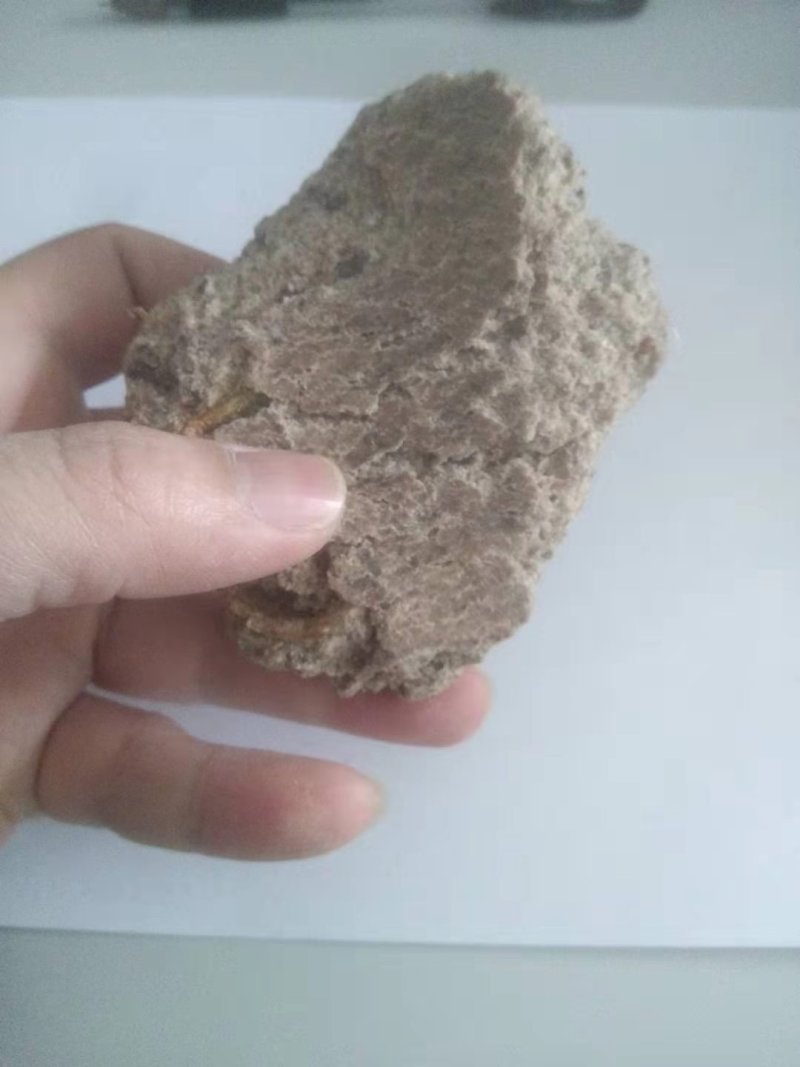 进口纯花生饼，无添加，蛋白46，是饲喂牛羊的原料