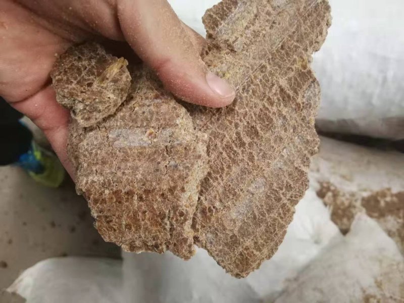 进口纯花生饼，无添加，蛋白46，是饲喂牛羊的原料