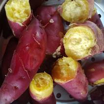 红薯新鲜海南桥头地瓜日式板栗薯一件