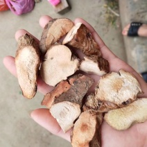 野生土茯苓干片