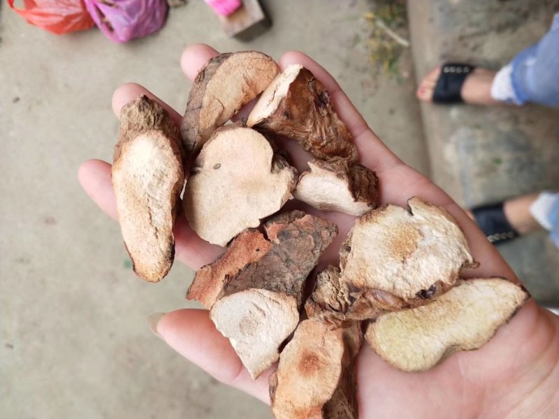 野生土茯苓干片