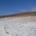 山林山地出租，也可合作
