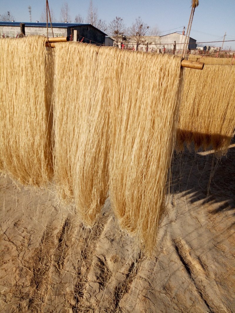 红薯粉条2斤一袋。可以订购各种规格大小包装，散装。