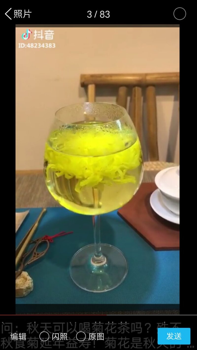 金丝皇菊