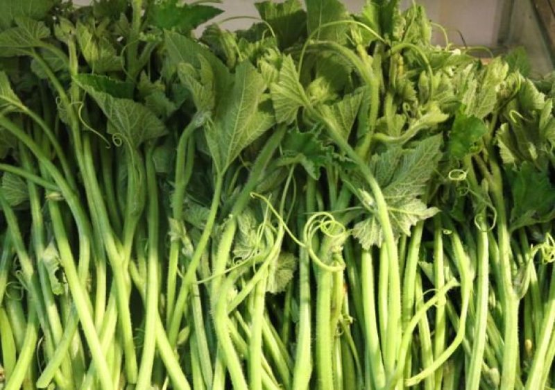 南瓜苗，南瓜尖，南瓜腾，南瓜叶，南瓜花