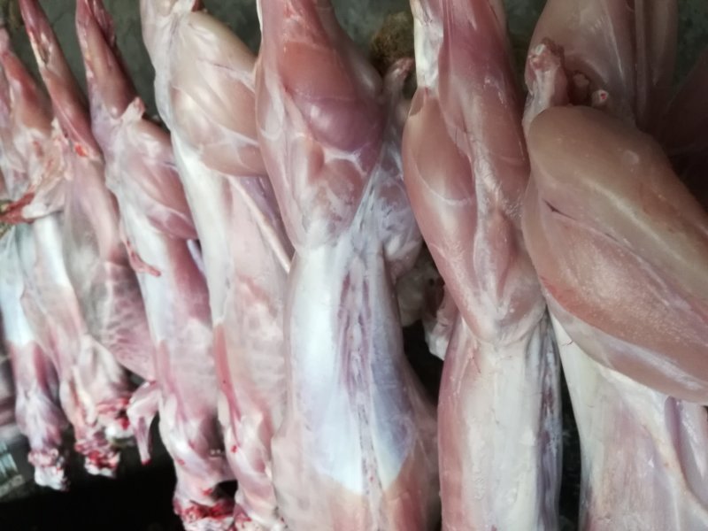 冷鲜兔肉整只白条2-4斤可选可快递发货
