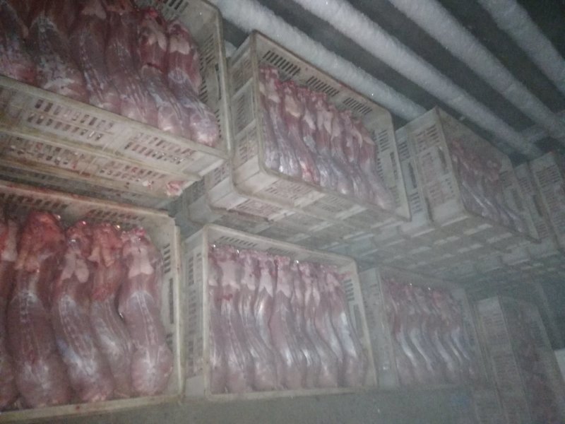 冷鲜兔肉整只白条2-4斤可选可快递发货