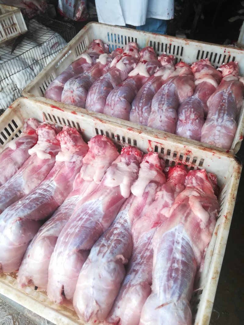 冷鲜兔肉整只白条2-4斤可选可快递发货