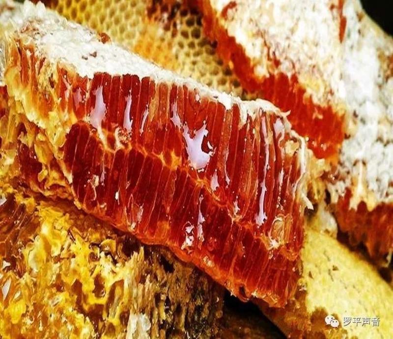 秦岭棒棒桶土蜂蜜，农户直销，品质保证。